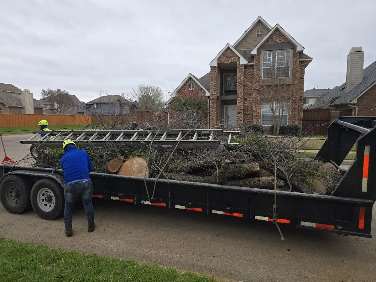 Expert Tree Fertilization with proper safety equipment in Bloomington
